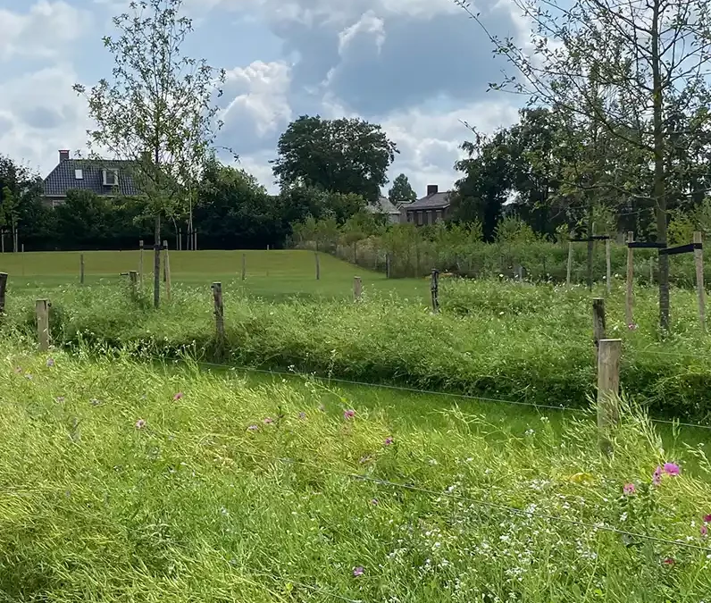 Landbouwgrond wordt natuur