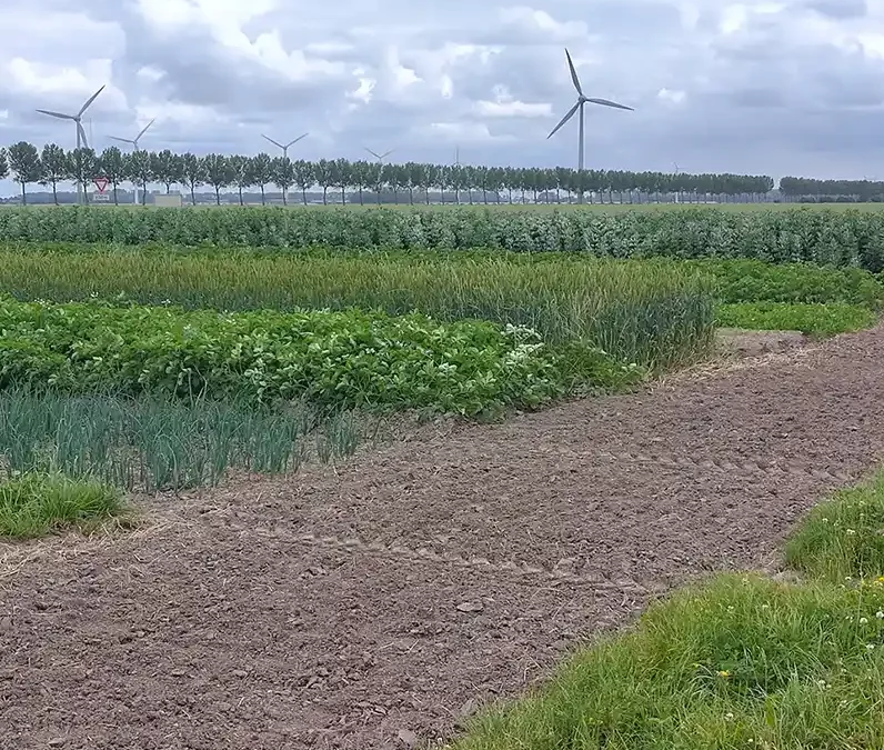 Excursie: Boerderij van de Toekomst