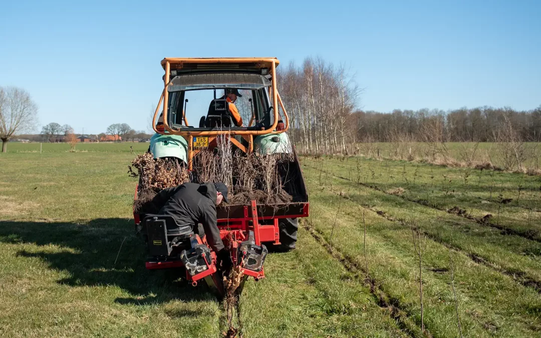 Bossenstrategie helpt bij particuliere bosaanleg