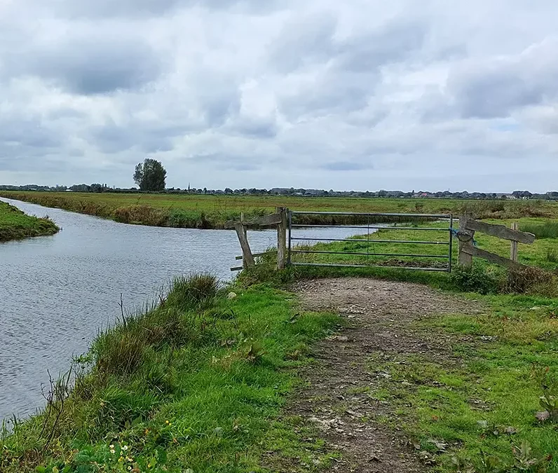 Maatregelen tegen pitrus in De Wilck
