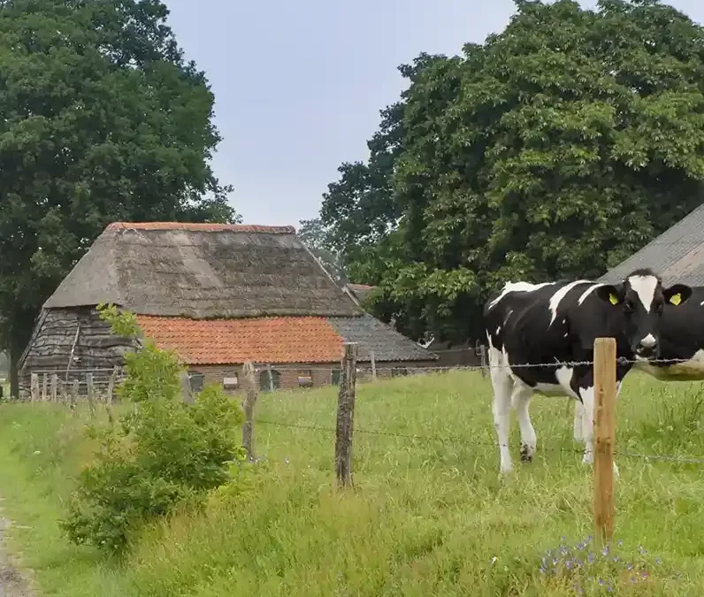 Nieuwe stikstofmaatregelen