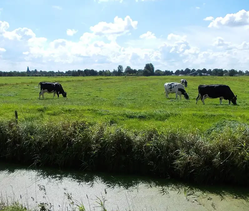 Drie scenario’s voor gebiedsstrategie